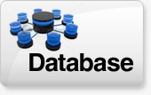 outsource database